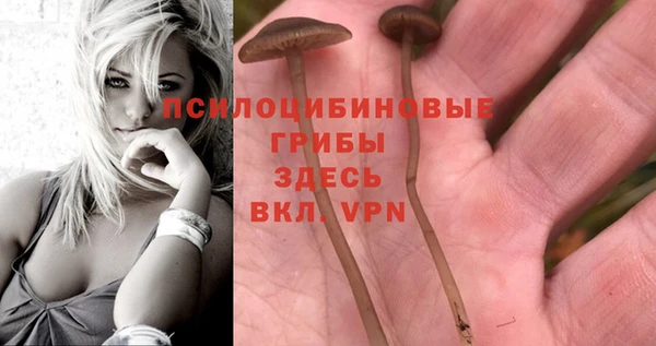 MDMA Белоозёрский