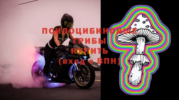 винт Белокуриха